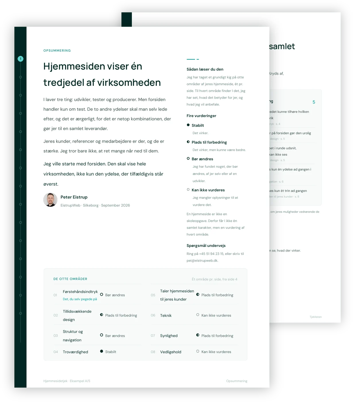 Uddrag af en hjemmesidetjek-rapport: opsummering og tjekliste